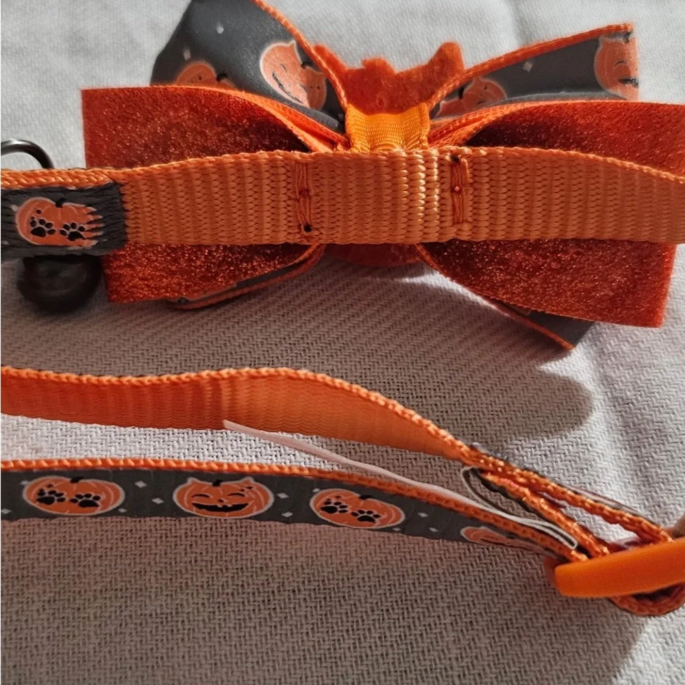 Thrills & Chills Reflective Pumpkin Cat Collar (8” - 12”)